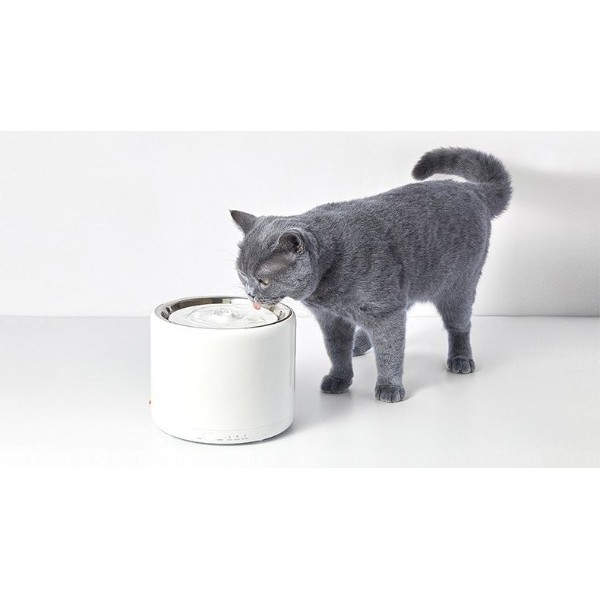 一鍵過濾，寵物飲水機濾芯帶來健康喝水體驗