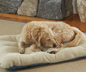 硬質(zhì)棉應(yīng)用場(chǎng)景