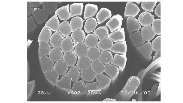 可持續(xù)、新工藝，世界非織造行業(yè)的創(chuàng)新趨勢(shì)與發(fā)展機(jī)會(huì)