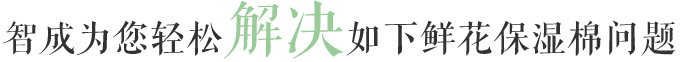 智成為您輕松解決如下鮮花保濕棉問題